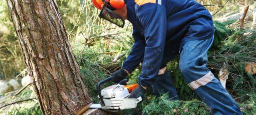 a man wearing protective helmet and gloves while cutting a tree