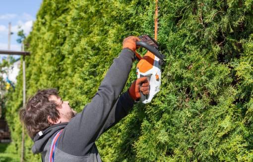 A Man Trimming a high hedges with hedges trimmer